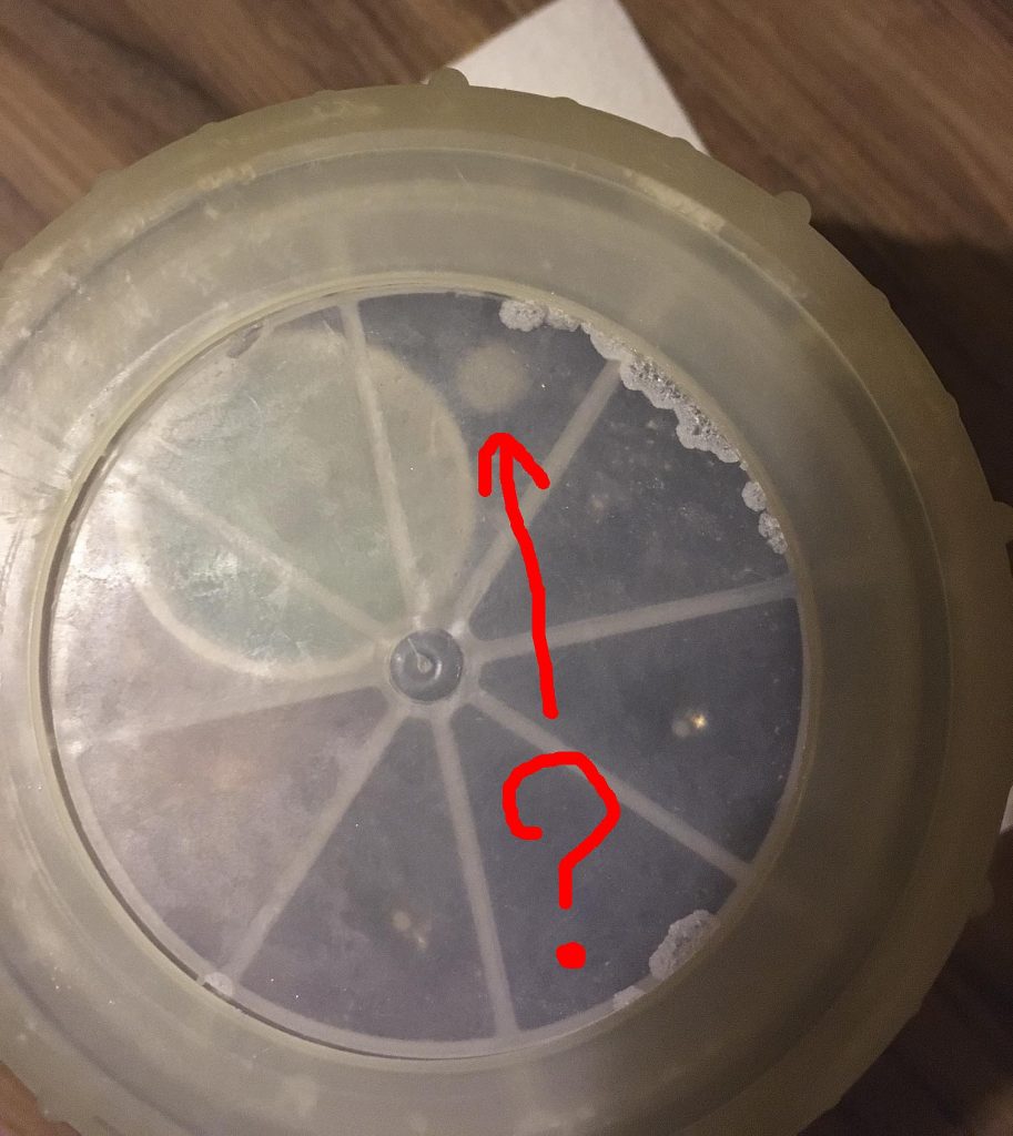 Is that mold? A bacteria colony?: Possible signs of life growing on top of the brine. Sept 26, 2016