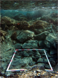 The west harbor wall and layer of stones in L2 T4 D
