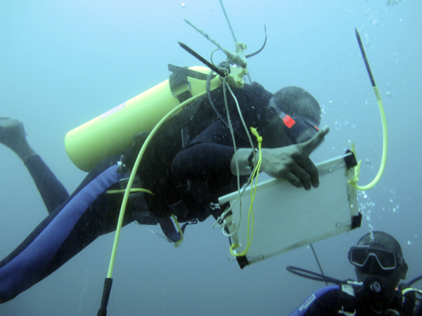 Sri Lankan divers working at the site.