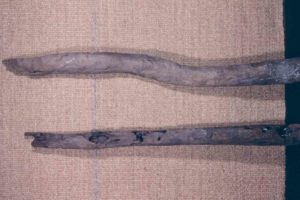 Ebony (Dalbergia melanoxylon) logs. (Photo: INA) Slide# KW-8888 REF637