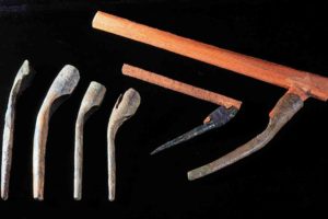Hafted with modern wood for display in the Bodrum Museum, these pick-like objects were probably also plow shares. (Photo: INA) Slide# CG591.