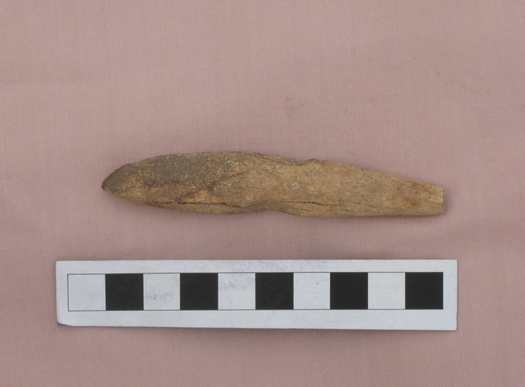 Harbour Island - Bone Artifact from Methodist House