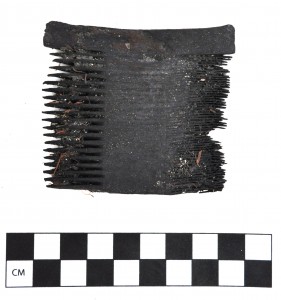 A wooden comb once used to delouse a sailor?