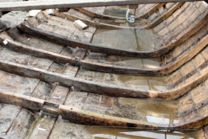 Some of YK 14’s complete ‘L’-shaped floor timbers during the dismantling of the ship. The upper ends of these frames are oriented towards the port side of the ship; the frame timbers whose upper ends were oriented in the opposite direction (and were not fully preserved) have already been removed. (Photo: INA). REF4820